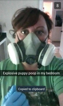 explosive puppy poop